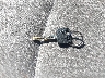 JTEDD21A060****** Salvage 2006 Toyota Highlander in Oregon State