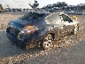 1N4AL21E88N****** Salvage and Wrecked 2008 Nissan Altima in Florida State