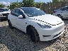 5YJYGDEE0MF****** Salvage and Wrecked 2021 Tesla Model Y in Northern Virginia