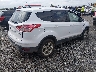 1FMCU0GX5EU****** Salvage and Wrecked 2014 Ford Escape in Arkansas State