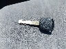 5FNRL38207B****** Salvamento 2007 Honda Odyssey en Estado de Tennessee