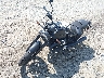 ZGUKZUA04PM****** Usados y Reparables 2023 Moto Guzzi V7 Stone en Rec Rides Online Exclusive