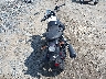 ZGUKZUA04PM****** Salvamento y Reparables 2023 Moto Guzzi V7 Stone en Estado de Virginia