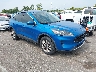 1FMCU9G65MU****** Salvamento y Destrozados 2021 Ford Escape en Memphis