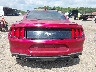 1FA6P8TH0M5****** Wrecked 2021 Ford Mustang