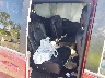 2C4RDGEG0JR****** Wrecked 2018 Dodge Grand Caravan in Jacksonville