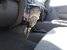 1J4GL48K25W****** Salvamento 2005 Jeep Liberty en Estado de Carolina del Norte