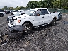 1FTFW1EF5EK****** Usados y Reparables 2014 Ford F-150 en Scranton