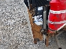 1FTPF1CF8DK****** Repairable 2013 Ford F-150