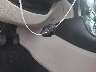 1N4AA6APXHC****** Salvage 2017 Nissan Maxima in Florida State