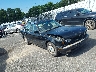 WBAHD6326SG****** Salvamento y Destrozados 1995 BMW 5 Series en Lake City