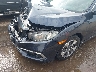19XFC2F68LE****** Reparables 2020 Honda Civic