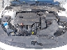 5XXGT4L38LG****** Reparables 2020 Kia Optima en Appleton