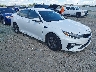 5XXGT4L38LG****** Salvamento y Destrozados 2020 Kia Optima en Appleton