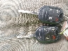 3FADP4TJ5HM****** Salvage 2017 Ford Fiesta in New York State