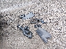 3C4NJDFB9NT****** Wrecked 2022 Jeep Compass in Ohio State