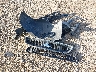 1ZVBP8EM4D5****** Wrecked 2013 Ford Mustang in New York State