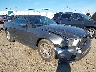 1ZVBP8EM4D5****** Salvage and Wrecked 2013 Ford Mustang in Buffalo