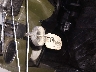 3NSRCA57XHG****** Salvage 2017 Polaris Ranger in North Dakota State