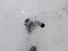 1HGFA16889L****** Wrecked 2009 Honda Civic in Florida State