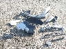 KM8J3CA47JU****** Destrozados 2018 Hyundai Tucson en Estado de Virginia