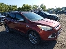 1FMCU9GX3EU****** Salvamento y Destrozados 2014 Ford Escape en Scranton
