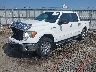 1FTFW1EF8DF****** Usados y Reparables 2013 Ford F-150 en Tifton