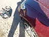 JHMES26785S****** Used 2005 Honda Civic in Texas State