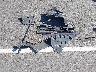 5UXWX9C5XF0****** Wrecked 2015 BMW X3 in Tennessee State