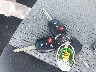 2T3RFREV0FW****** Salvage 2015 Toyota RAV4 in Massachusetts State