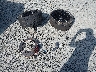 WBS43AY05PF****** Wrecked 2023 BMW M3 in Washington State