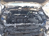 3FA6P0H74GR****** Reparables 2016 Ford Fusion en Tampa North