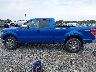 1FTFX1EV9AF****** Reparables 2010 Ford F-150 en Estado de Virginia