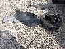 3FA6P0H70ER****** Destrozados 2014 Ford Fusion en Estado de Maryland