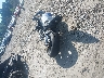WB10D6003KZ****** Salvamento y Reparables 2019 BMW S 1000 en Estado de Massachusetts