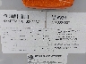 4X4FCMP20F6****** Used 2015 Palomino Columbus in San Antonio South