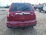 5J6RE4H50BL****** Destrozados 2011 Honda CR-V