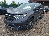5J6RW2H58KL****** Salvamento y Reparables 2019 Honda CR-V en Estado de Nueva York