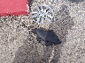 5FNRL5H26EB****** Wrecked 2014 Honda Odyssey in Maryland State