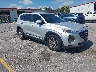 5NMS2CAD8KH****** Salvage and Wrecked 2019 Hyundai Santa Fe in West Palm Beach