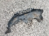 3GNAXJEV7LS****** Destrozados 2020 Chevrolet Equinox en Estado de Michigan