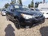 JF2SJADC5GH****** Salvamento y Destrozados 2016 Subaru Forester en Seattle