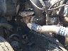 3AKJGLDR5HS****** Destrozados 2017 Freightliner Cascadia 125 en Estado de Florida