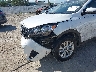 5XYPG4A32KG****** Salvage and Repairable 2019 Kia Sorento in Florida State