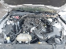 1FATP8EM7G5****** Reparables 2016 Ford Mustang en Jacksonville