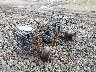 478TE210124****** Usados y Reparables 2002 Honda Trx250 en Akron Canton