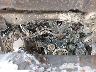 JTEKU5JR3P6****** Repairable 2023 Toyota 4Runner in Akron Canton