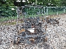 1HFVE0429S4****** Used and Repairable 2025 Honda Sxs1000 in Ohio State