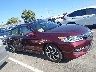 1HGCR2F79GA****** Destrozados 2016 Honda Accord en Estado de Tennessee