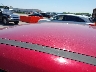 1FADP3F21DL****** Destrozados 2013 Ford Focus en Estado de Nebraska